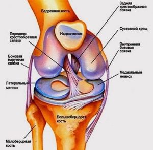 Damage to the meniscus of the knee joint
